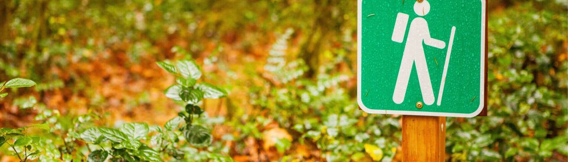 sign designating a hiking trail in a lush green forest