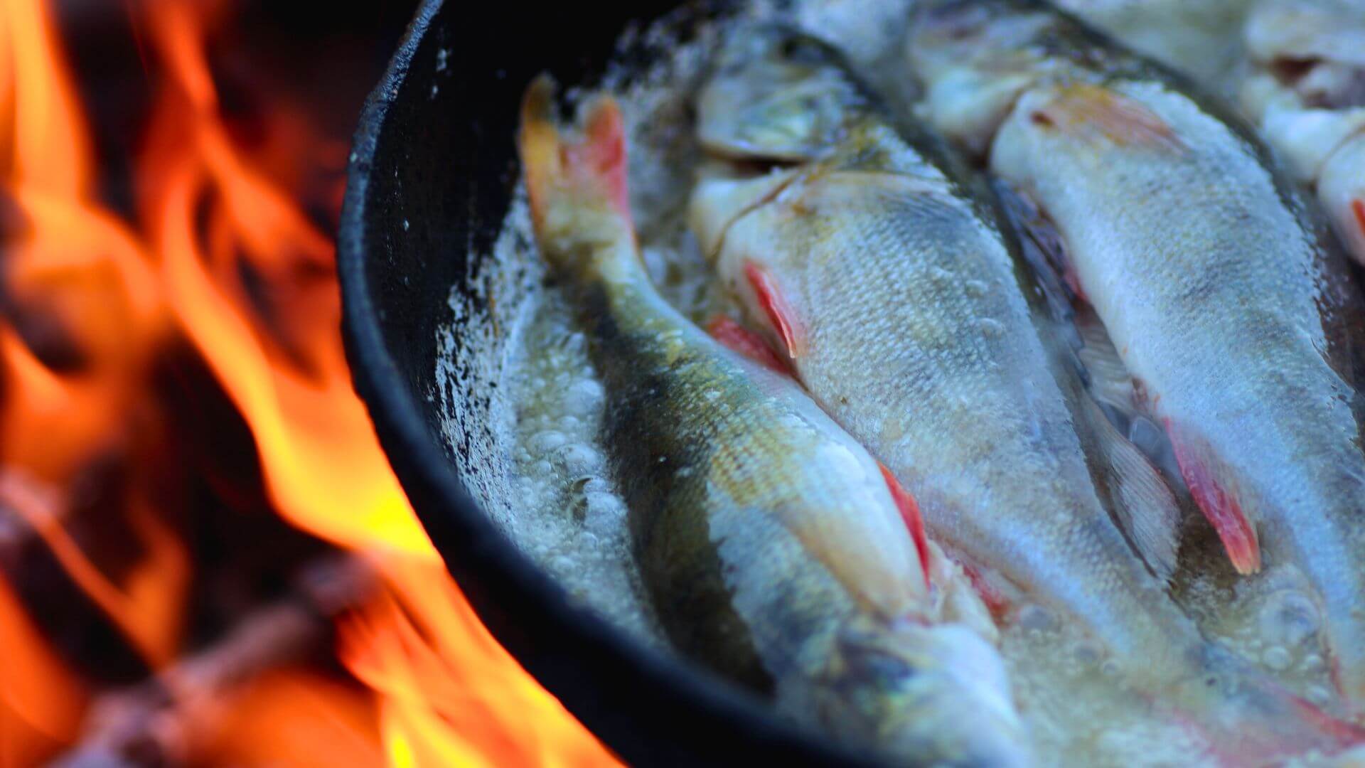 fish in pan over a roaring fire